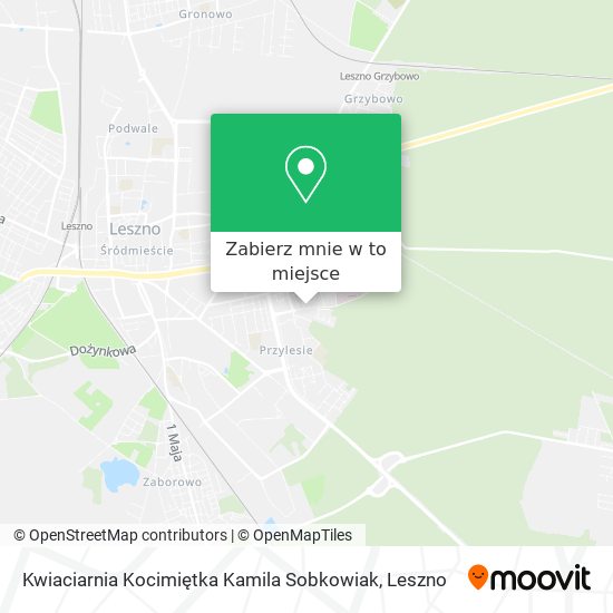 Mapa Kwiaciarnia Kocimiętka Kamila Sobkowiak