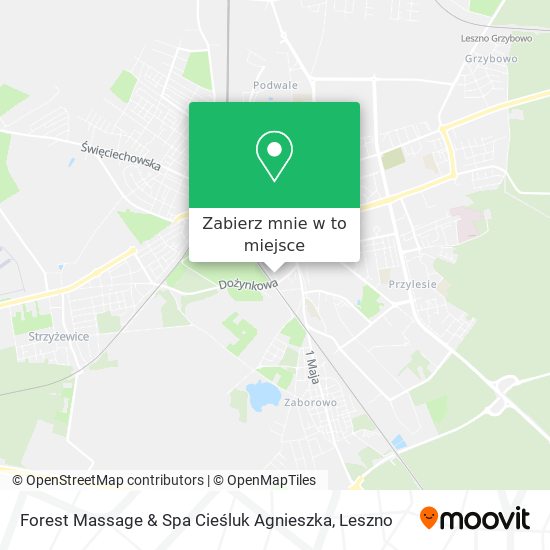 Mapa Forest Massage & Spa Cieśluk Agnieszka