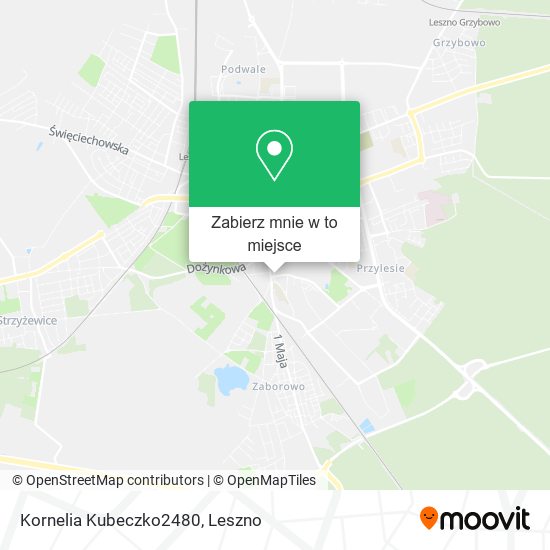 Mapa Kornelia Kubeczko2480
