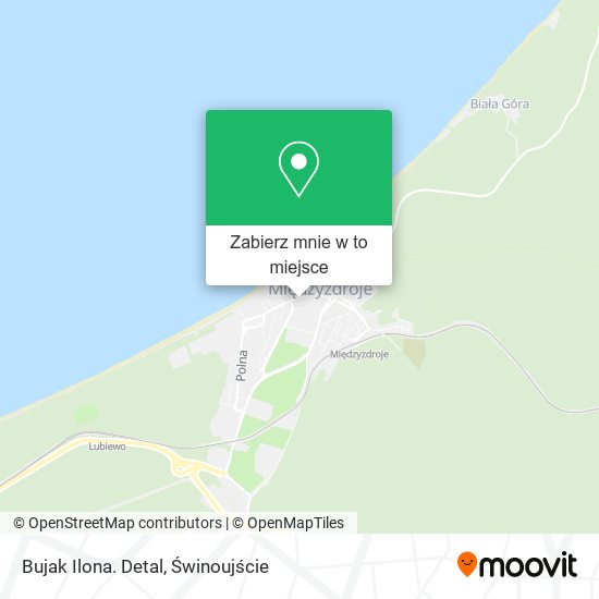 Mapa Bujak Ilona. Detal