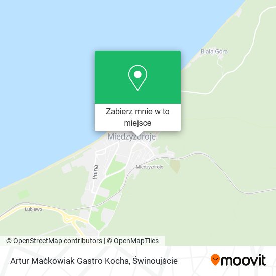 Mapa Artur Maćkowiak Gastro Kocha