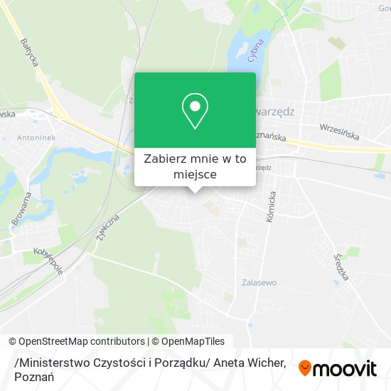 Mapa /Ministerstwo Czystości i Porządku/ Aneta Wicher