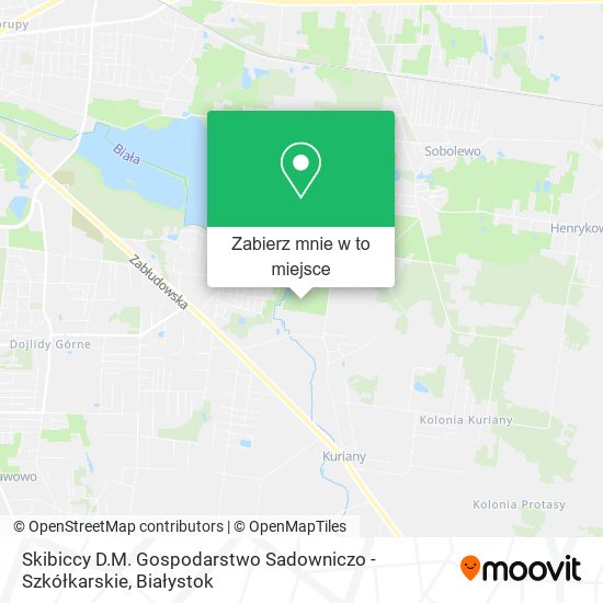 Mapa Skibiccy D.M. Gospodarstwo Sadowniczo - Szkółkarskie