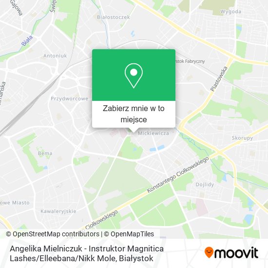 Mapa Angelika Mielniczuk - Instruktor Magnitica Lashes / Elleebana / Nikk Mole