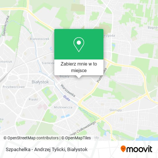 Mapa Szpachelka - Andrzej Tylicki