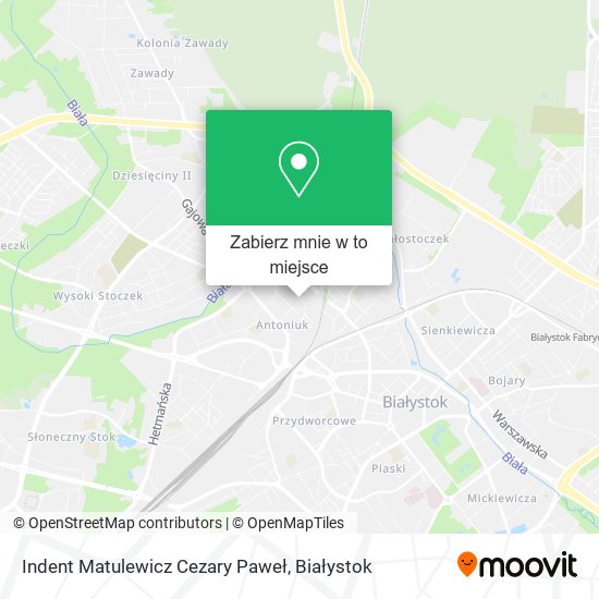 Mapa Indent Matulewicz Cezary Paweł