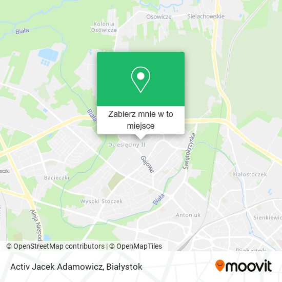 Mapa Activ Jacek Adamowicz