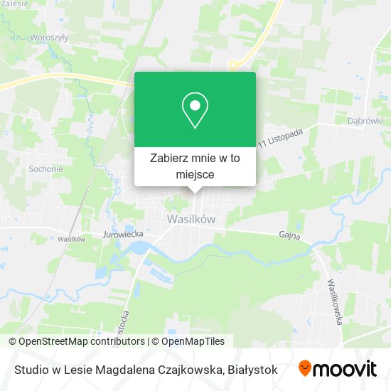 Mapa Studio w Lesie Magdalena Czajkowska