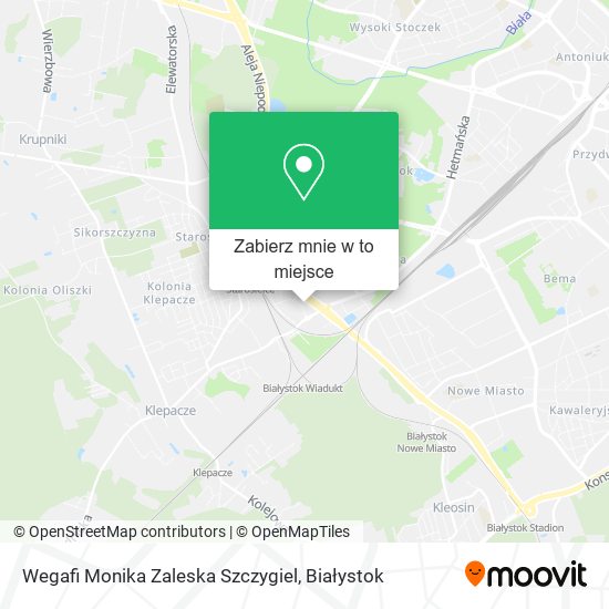 Mapa Wegafi Monika Zaleska Szczygiel