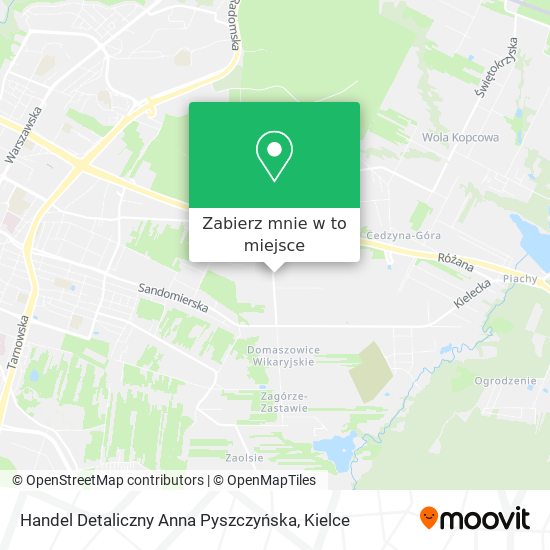 Mapa Handel Detaliczny Anna Pyszczyńska
