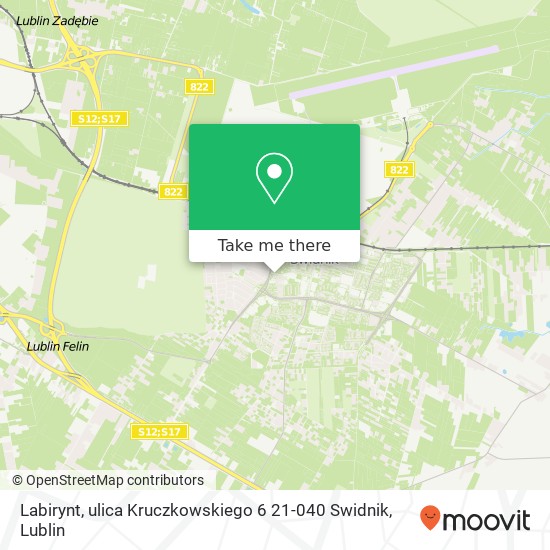 Mapa Labirynt, ulica Kruczkowskiego 6 21-040 Swidnik