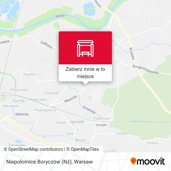 Mapa Niepołomice Boryczów (Nż)