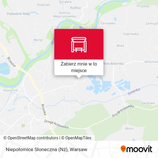 Mapa Niepołomice Słoneczna (Nż)