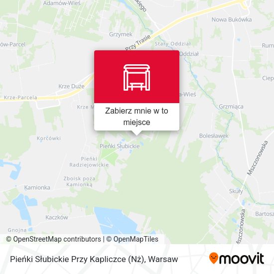 Mapa Pieńki Słubickie Przy Kapliczce (Nż)