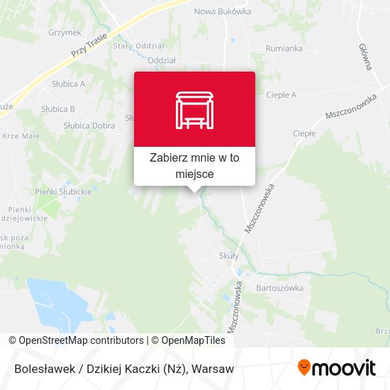 Mapa Bolesławek / Dzikiej Kaczki (Nż)