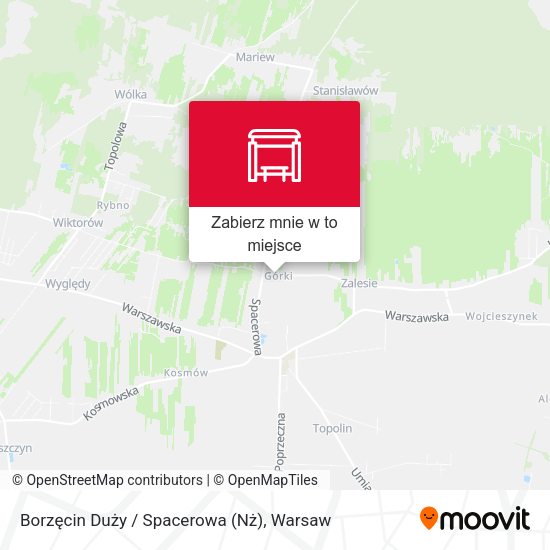 Mapa Borzęcin Duży / Spacerowa (Nż)