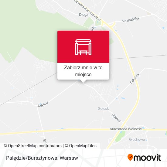 Mapa Palędzie/Bursztynowa