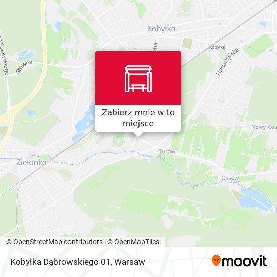 Mapa Kobyłka Dąbrowskiego 01