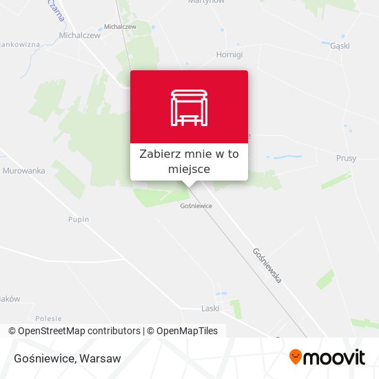 Mapa Gośniewice