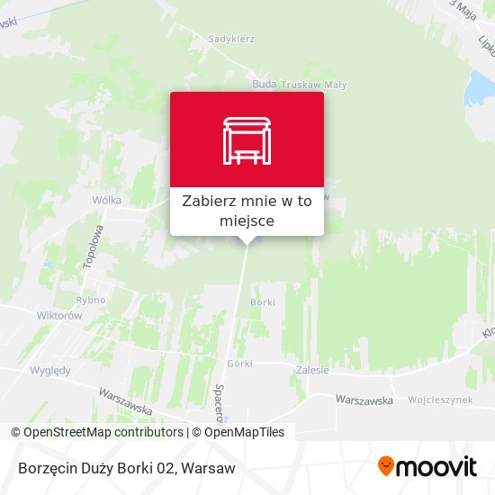 Mapa Borzęcin Duży Borki 02