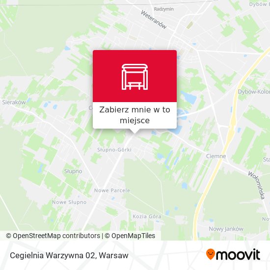 Mapa Cegielnia Warzywna 02