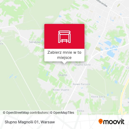 Mapa Słupno Magnolii 01