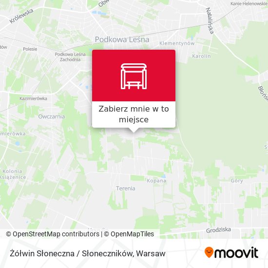 Mapa Żółwin Słoneczna / Słoneczników (Nż)