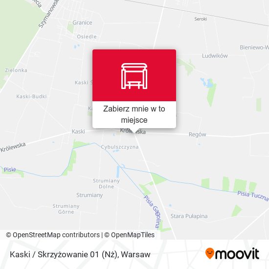 Mapa Kaski / Skrzyżowanie 01 (Nż)