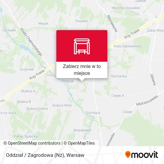 Mapa Oddział / Zagrodowa (Nż)