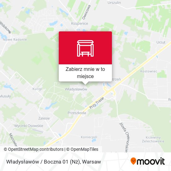 Mapa Władysławów / Boczna 01 (Nż)