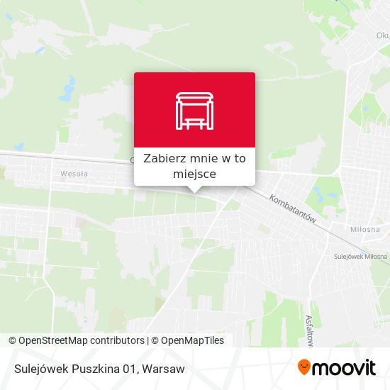 Mapa Sulejówek Puszkina 01