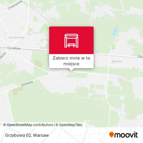 Mapa Grzybowa 02