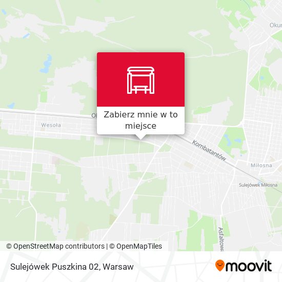 Mapa Sulejówek Puszkina 02