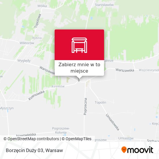 Mapa Borzęcin Duży