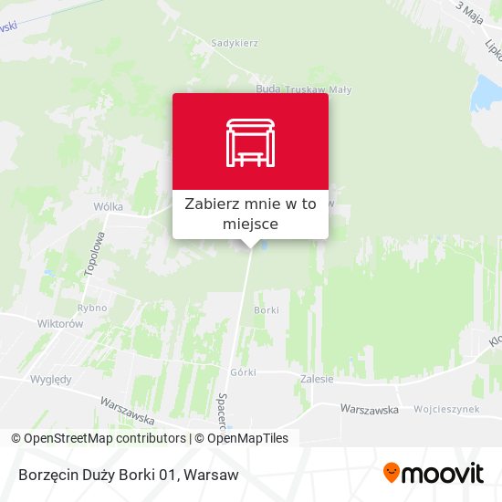 Mapa Borzęcin Duży Borki 01