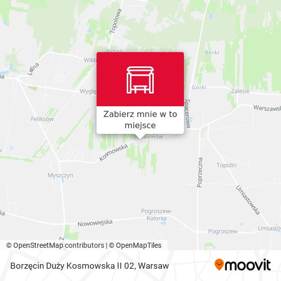 Mapa Borzęcin Duży Kosmowska II 02