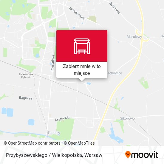 Mapa Przybyszewskiego / Wielkopolska