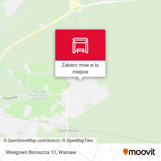 Mapa Wielgowo Borsucza 11