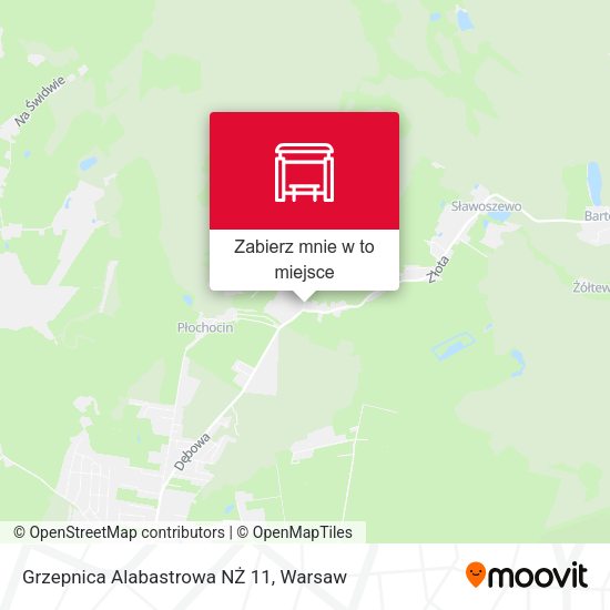 Mapa Grzepnica Alabastrowa NŻ 11