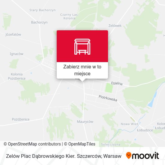 Mapa Zelów Plac Dąbrowskiego Kier. Szczerców