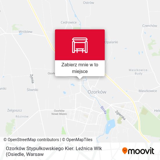 Mapa Ozorków Stypułkowskiego Kier. Leźnica Wlk