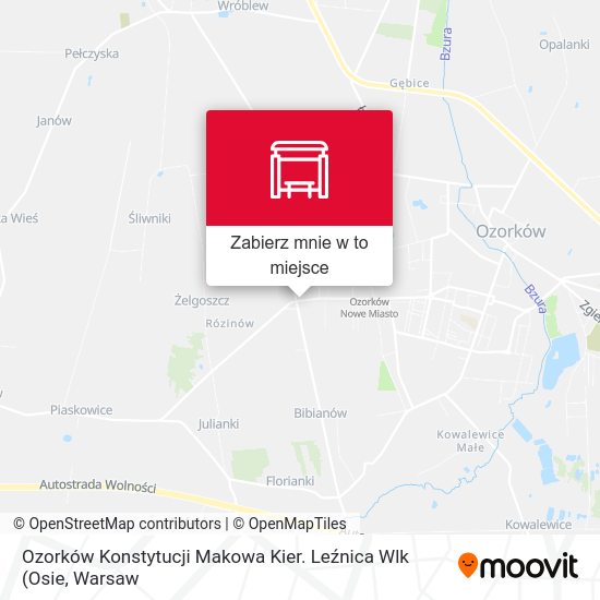 Mapa Ozorków Konstytucji Makowa Kier. Leźnica Wlk