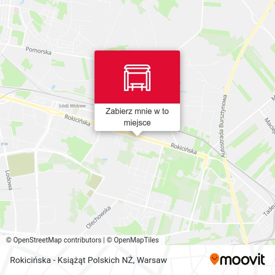 Mapa Rokicińska - Książąt Polskich NŻ