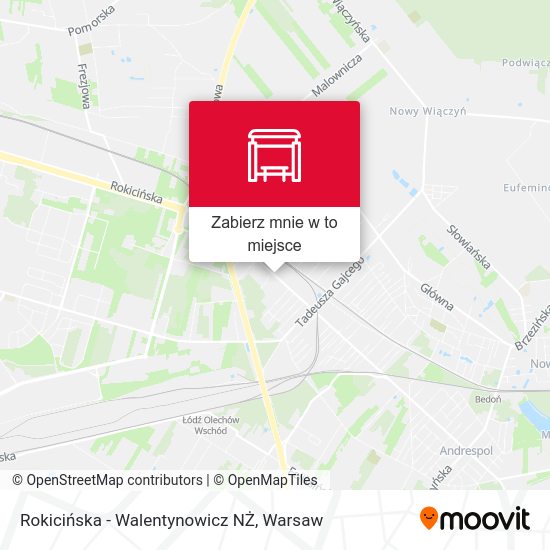 Mapa Rokicińska - Walentynowicz NŻ