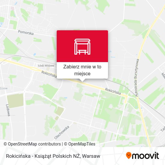 Mapa Rokicińska - Książąt Polskich NŻ