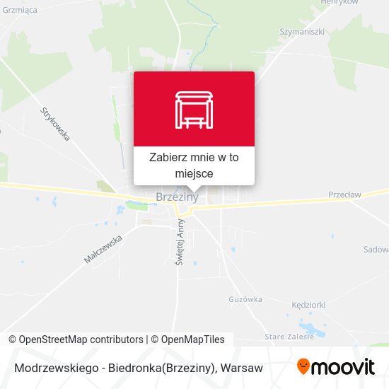 Mapa Modrzewskiego - Biedronka(Brzeziny)