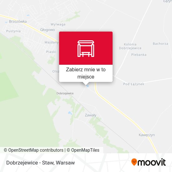 Mapa Dobrzejewice - Staw