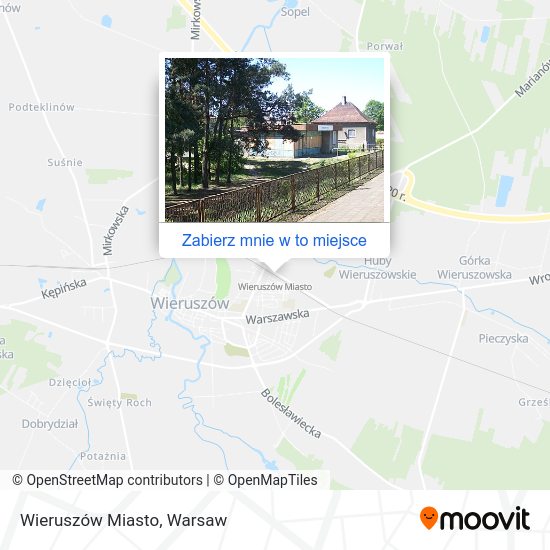 Mapa Wieruszów Miasto