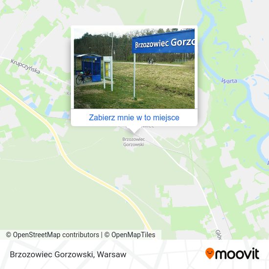 Mapa Brzozowiec Gorzowski