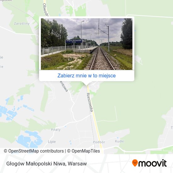 Mapa Głogów Małopolski Niwa